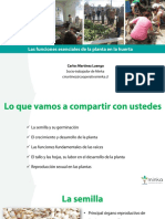 Clase 4. Las Funciones Esenciales de La Planta en La Huerta