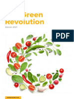 The Green Revolution - Lantern