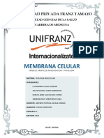 Trabajo Grupal - Investigacion Membrana Plasmatica