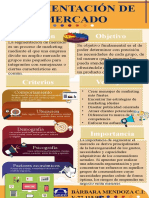 Infografía Segmentación de Mercado