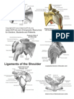 ShoulderJointHandout2