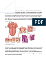 Anatomy of the tongue and related mouth structures