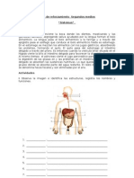 Guía de reforzamiento  Segundos medios