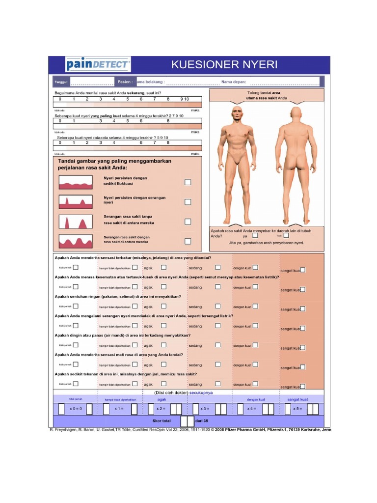 Pain Detect | PDF
