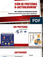 Purificación de Proteínas Alfa-Lactoalbumina 1