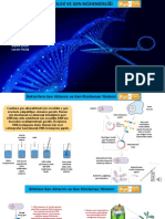 B. Bakterilere, Bitkilere Ve Hayvanlara Gen Aktarımı Ve Klonlama