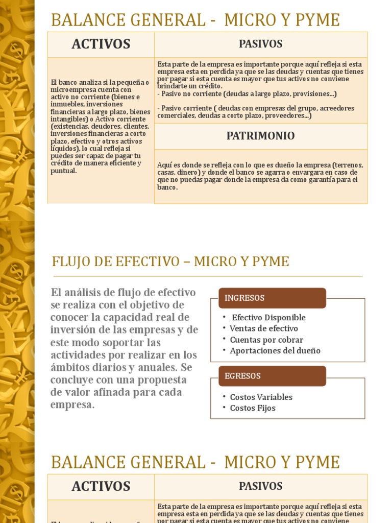 Balance General - Micro y Pyme | PDF | Business | Hoja de balance