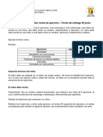 Pauta Evaluacion Rutina de Ejercicio Video - Ed Fisica