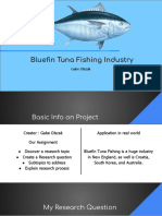 Bluefin Tuna Research Project