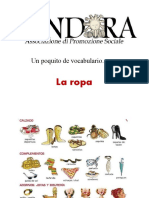 Ropa. Hay-Esta. Descripciòn de Foto