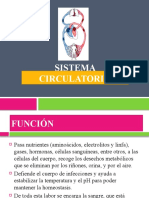 Sistema Circulatorio