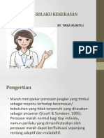 Askep Jiwa Perilaku Kekerasan