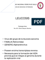 21-LEUCOSIS