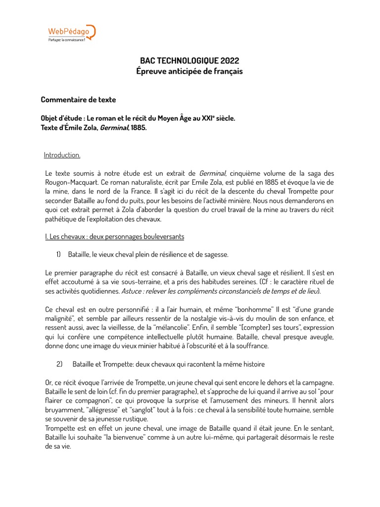 Pauline Alexandre Dumas Résumé Chapitre 1 Correction Bac Technologique Français 2022 | PDF | Portrait | Féminisme
