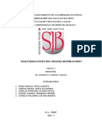 Malformaciones Del Sist. Resp. (Embriología)