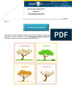 PrimeroBasico - Historia Estaciones Del Año