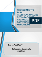 PDF Presentación Rectificación Declaración Actual 2020