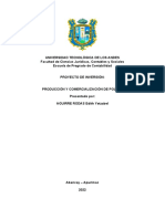 Estructura Del Proyecto de Inversión Privada Primera Parte