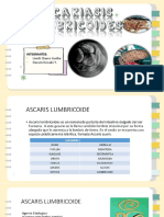 Ascariasis Lumbricoides