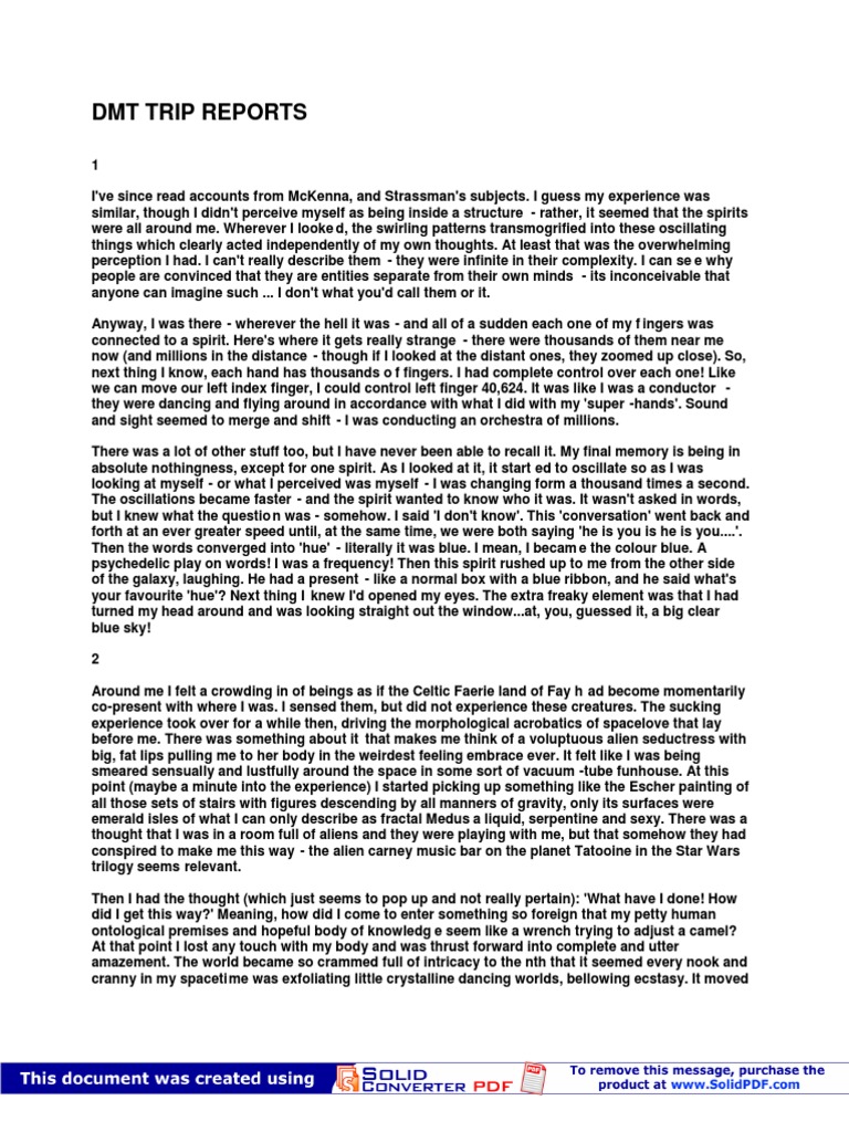 Dmt Journey Reports Perception Reality - 