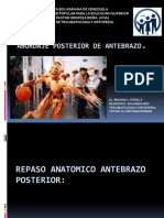 Abordaje de Antebrazo Posterior Brayan Otero