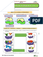 Sem12 - Ficha de Trabajo - Enzimas - Fotosíntesis