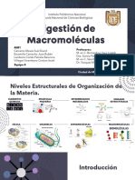 Seminario 11 Macromoléculas 4IM1 EQ 4