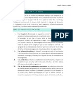 3 Cicatrizacion Descipcion y Valoracion Del Paciente Con Heridas