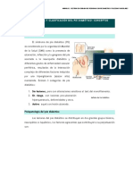 Fisiopatología y clasificación del pie diabético: conceptos generales