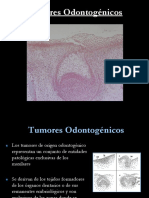 Tumores Odontogenicos