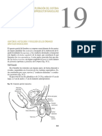 LLANIO Semiología Médica Tomo I