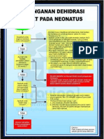 ALGORITMA Dehidrasi Berat Neonatorum