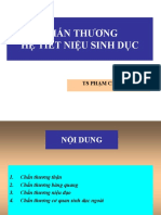 chấn thương hệ tiết niệu sinh dục