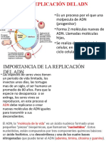 Replicación Del Adn Si-1