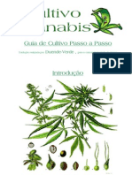 Guia de Cultivo Passo A Passo - WWW - Oxe7