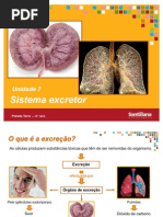 Unidade 7  EXCRETOR