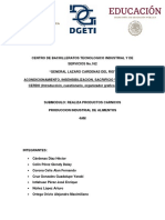 Acondicionamiento, Insensibilizacion, Sacrificio y Despiece Del Cerdo (Introduccion, Organizador, Preguntas y Conclusion)