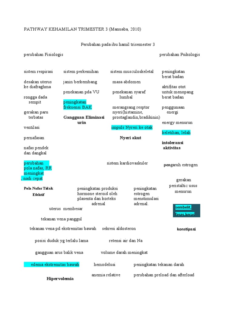 Pathway Kehamilan Trimester 3 PDF