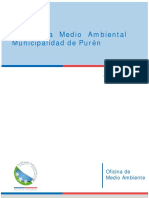 Ordenanza Medioambiental Puren