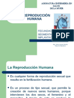 Fecundación, Segmentación e Implantación