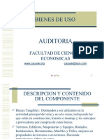 Auditoria - Bienes de Uso