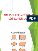 Areas y Perimetros