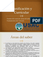 Áreas Del Saber y Fundamentos Del Currículo