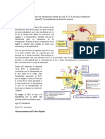 Metabolismo Del Hierro