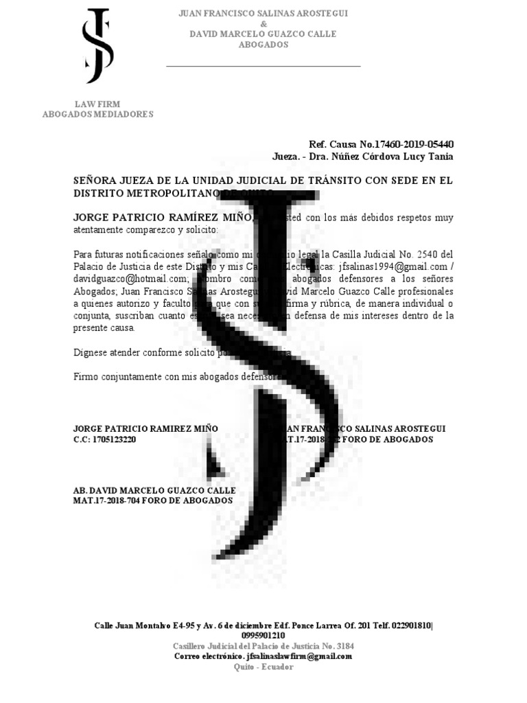 Modelo de Casillero Judicial Salinas y Guazco PDF