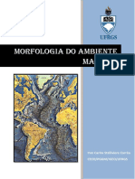 Morfologia Do Ambiente Marinho: Iran Carlos Stalliviere Corrêa Ceco/Pggm/Igeo/Ufrgs