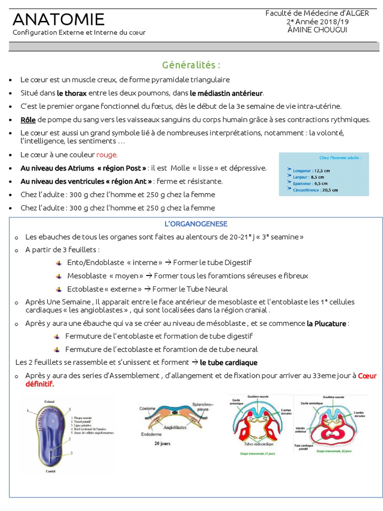 Config Ext & Int - A.Chougui-1 | Descargar gratis PDF | Cœur | Atrium ...