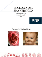 6-Embriología Del Sistema Nervioso