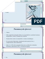 Infecciones oportunistas VIH: Pneumocystis, Criptococo, Toxoplasmosis y CMV