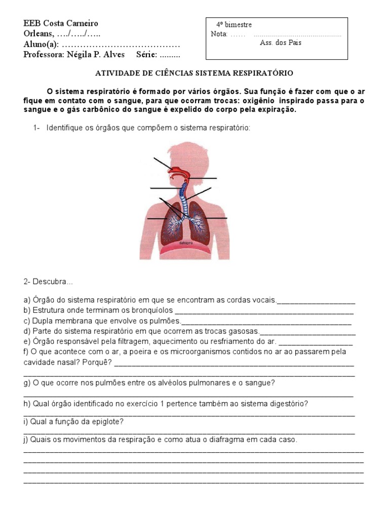 ATIVIDADE DE CIÊNCIAS SISTEMA RESPIRATÓRIO
